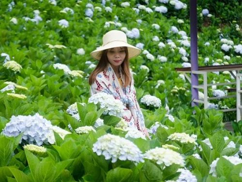 12 Ekim Hangi Yükselen Burç Öncü Grup Hava Etkili Doğum Haritası