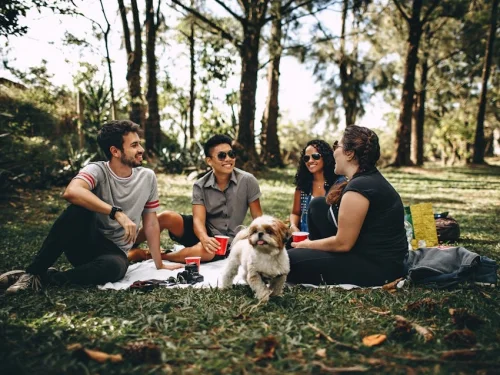 14 Şubat Hangi Yükselen Burç Venüs Burcu 11. Ev Konuları Güneş Burcu