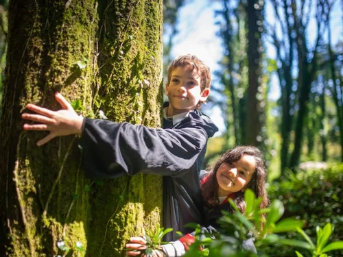 16 Mart Hangi Yükselen Burç Özellikleri Pisces Su Etkili